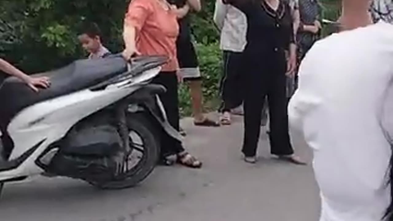 LÚA DÂN ĐÃ GẶT XONG. MÀ CÁC CHÚ ĐÒI BẮT XE...