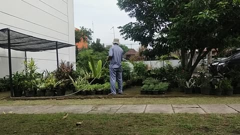 Morning Gardening | Watering Plants for a Fresh Start to the Day
