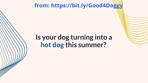 Cool Down Your Pet This Summer: Top Tips for Happy Fur Babies!