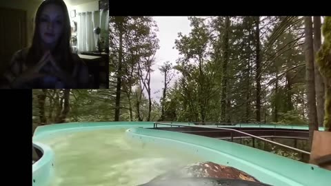 Born to Hula Radio Show #244 - Music Josh Homme Dances To