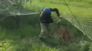 🦌❤️ Ukraine Russia War | Ukrainian Troops Save Deer from Anti-Drone Net | RCF