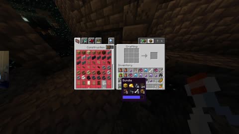 Playing Minecraft on my private server