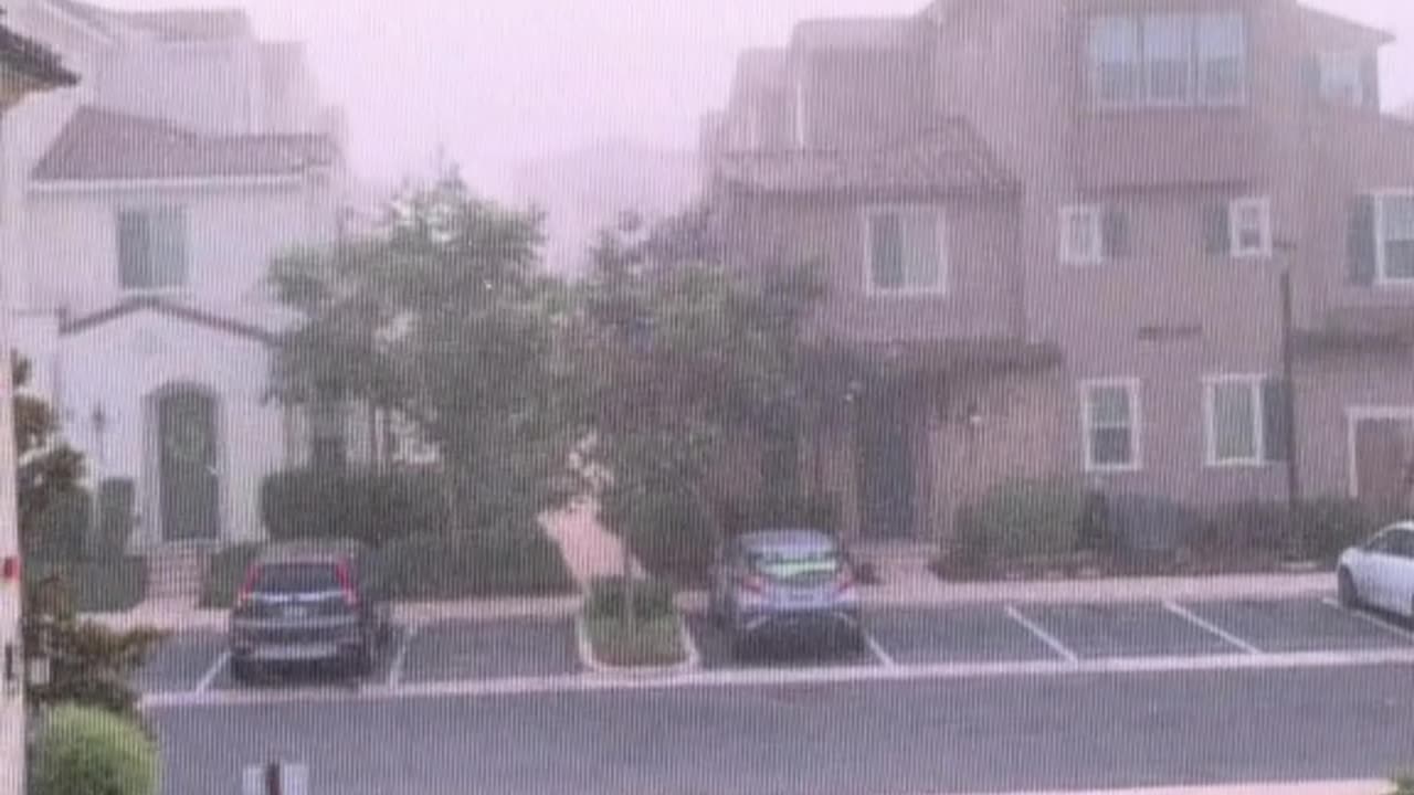 what a great thing to see at 6am horses running in the neighborhood. They were prob from the canyon