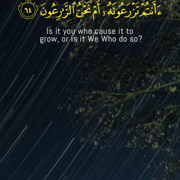 We Replace the Dead with New Creation | Surah Al-Waqi’ah 61–66 | A Wake-Up Call