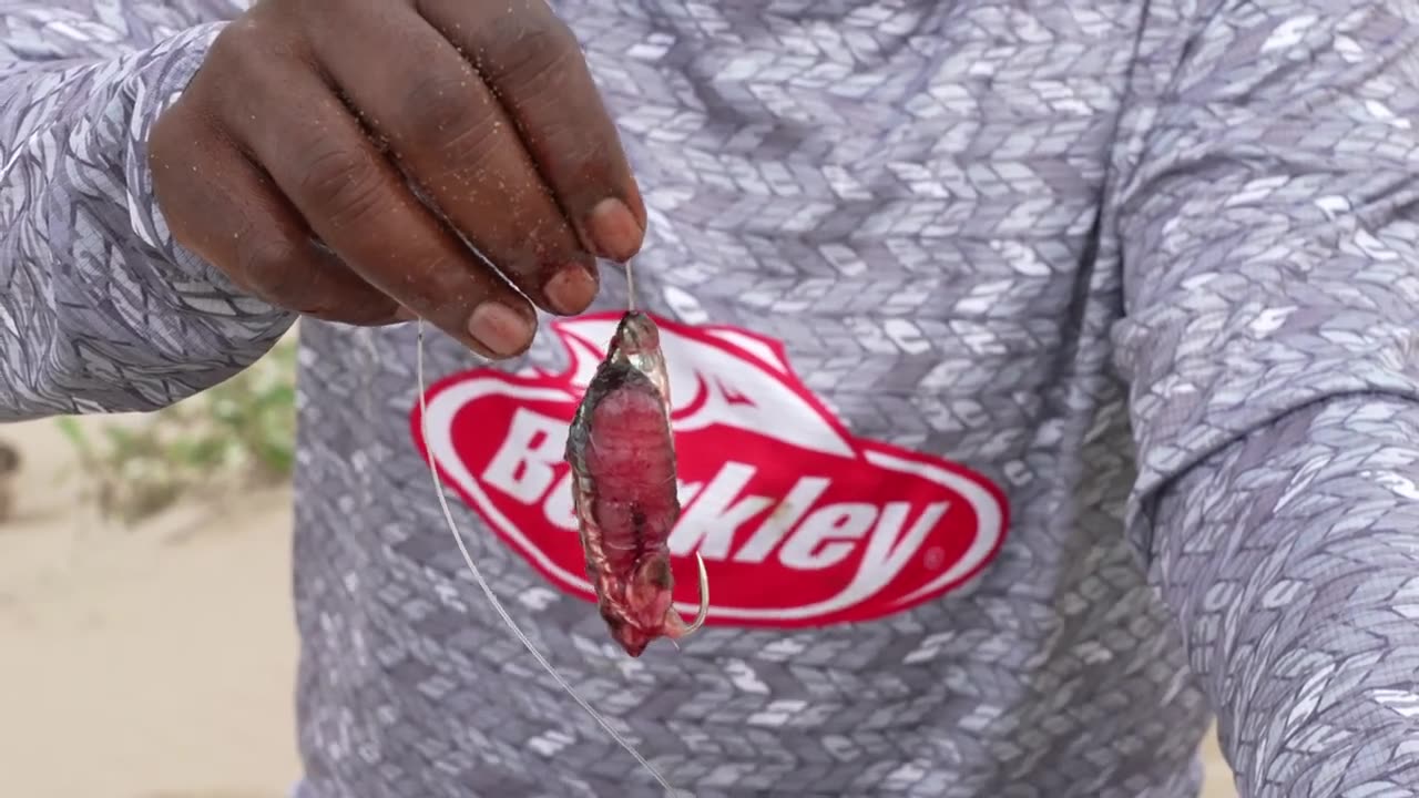 Red eye bait for light weight trace