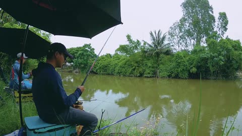 Dace Spin Fishing in River Clear Waters