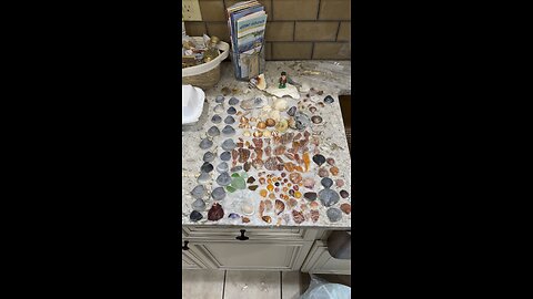 Beach Finds 7/10/2025 | 4K