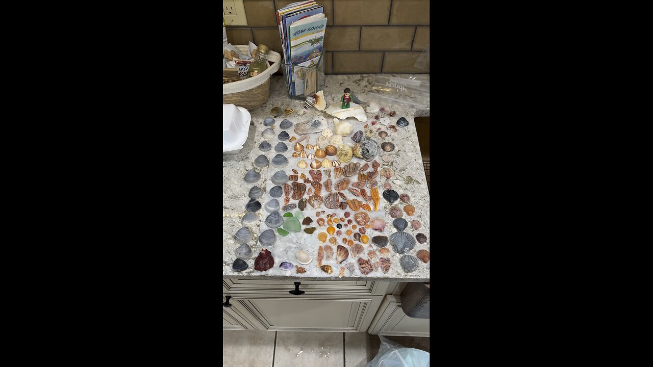 Beach Finds 7/10/2025 | 4K