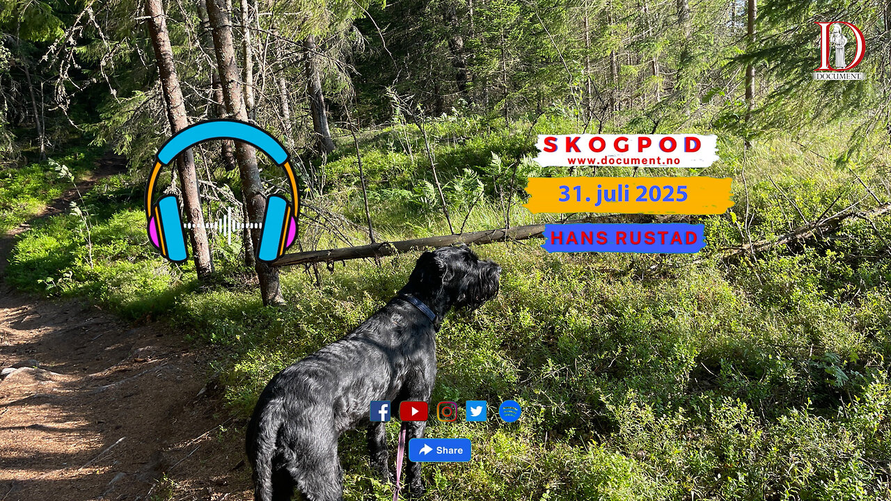 Skogpod 31. juli 2025
