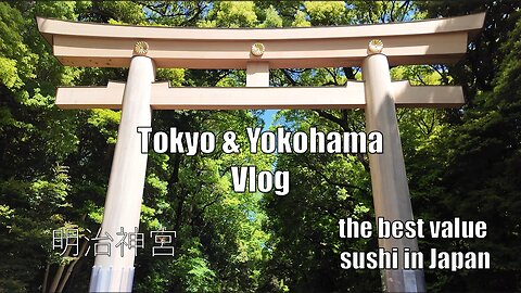 Tokyo’s BEST VALUE Sushi 🍣 + Yokohama Chinatown | Japan Trip Part 3 | Travel Vlog