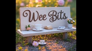 Wee Bits, Episode 4