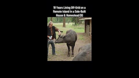 18 Years Living Off Grid On A Remote Island