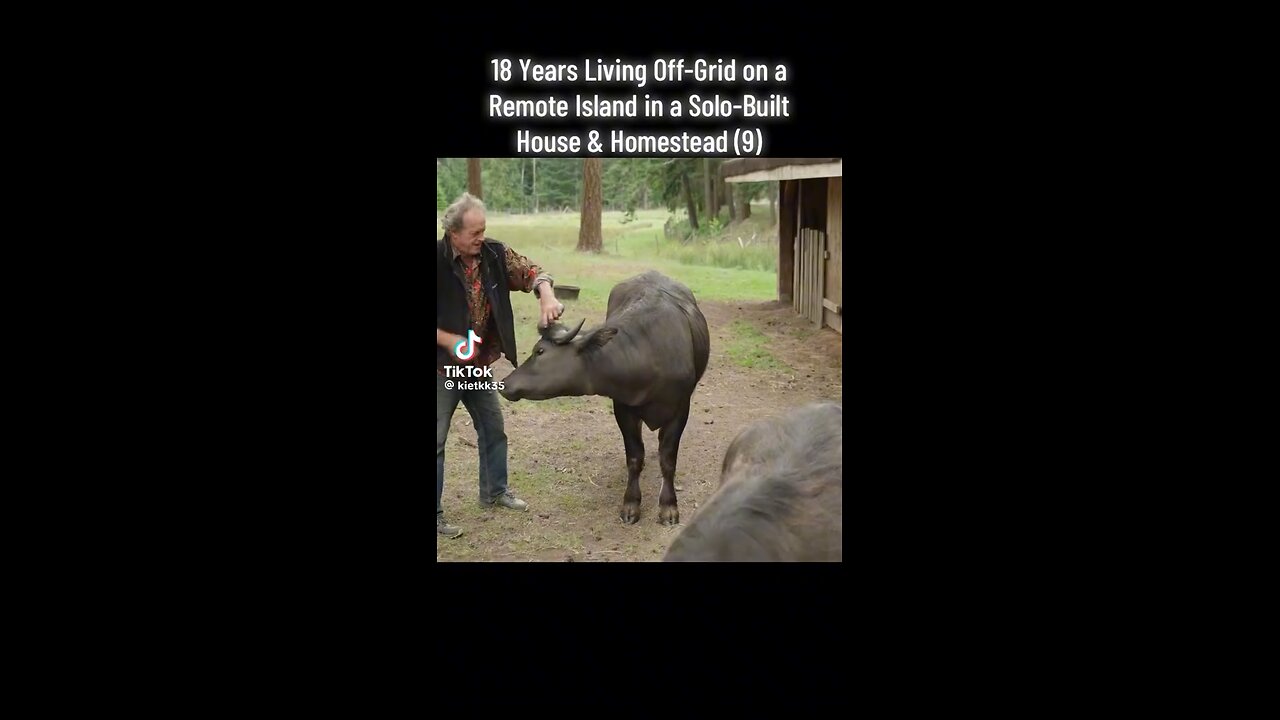 18 Years Living Off Grid On A Remote Island