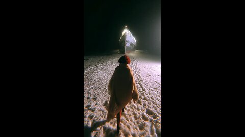 trip