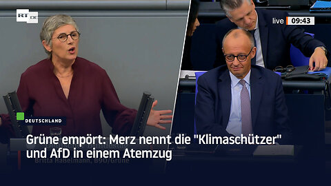 Grüne empört: Merz nennt die "Klimaschützer" und AfD in einem Atemzug
