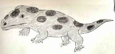 Amassie