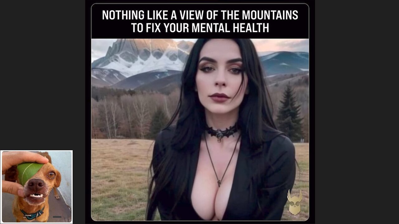 Memes That Will 99.0295% Make You Laugh. (e519)