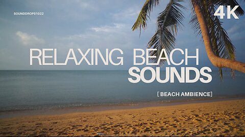 Relaxing Beach Sounds – 5 Minutes of Ocean Waves