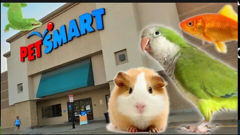 EXPLORING PETSMART! ANIMAL FRIENDS EVERYWHERE!