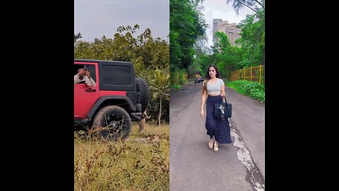 The girl follows her bag; a tiger suddenly appears as someone takes photos.