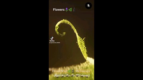 Plant Mutationz from Chemtrailz and 5GTOWERS using A I QuantumDots