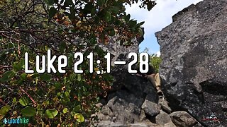 Luke 21:1-28, Bible Reading in Nature, BSB