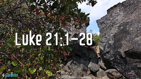 Luke 21:1-28, Bible Reading in Nature, BSB