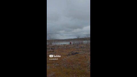 Good morning world! #Subscribe #Upinalaska #Alaska #Camping #Hiking #Outdoors #Cabin #Mountains #fyp