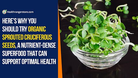 Here’s why you should try Organic Sprouted Cruciferous Seeds, a nutrient-dense superfood that can support optimal health