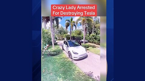 🚩 Deranged Psychopath shoots a Tesla, gets arrested.