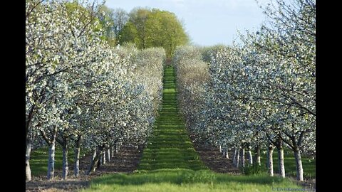 П125. Борьба с экономикой продолжается