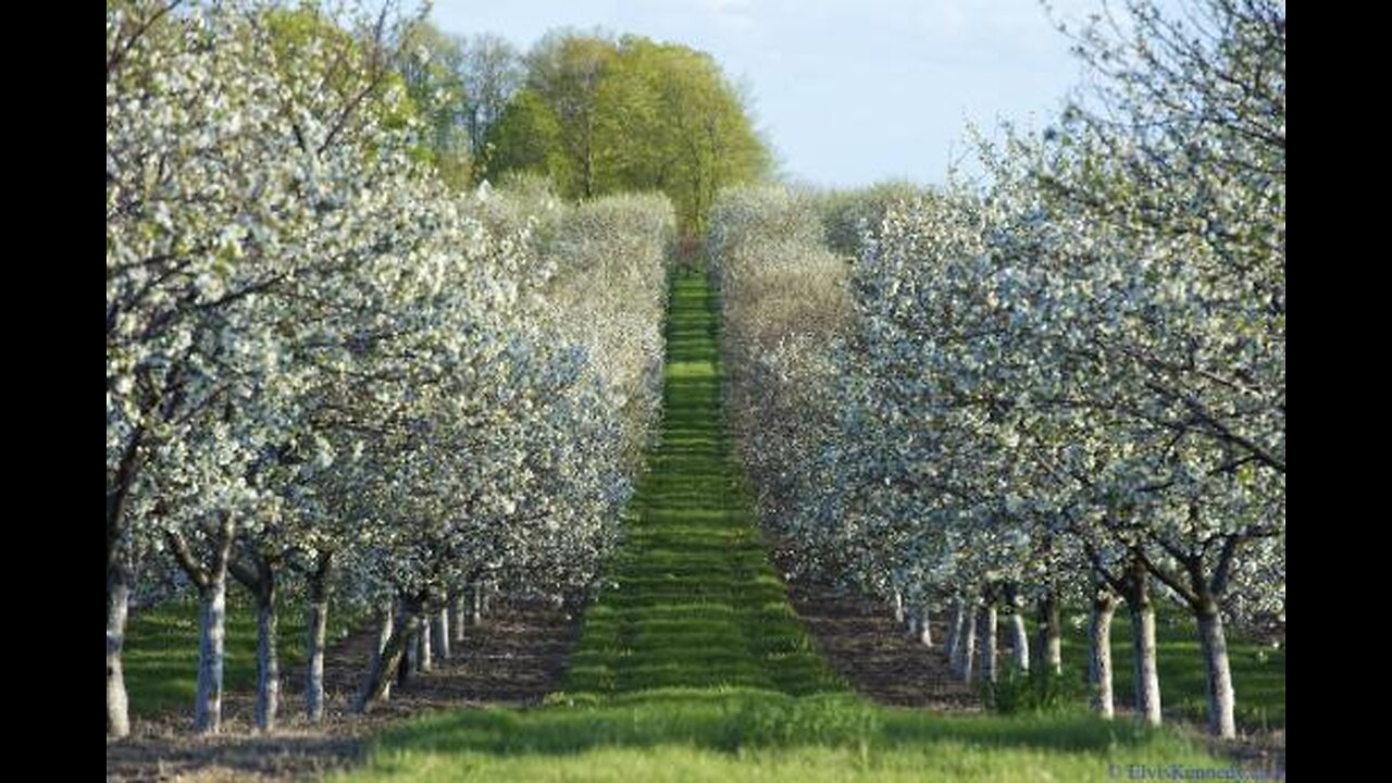 П125. Борьба с экономикой продолжается