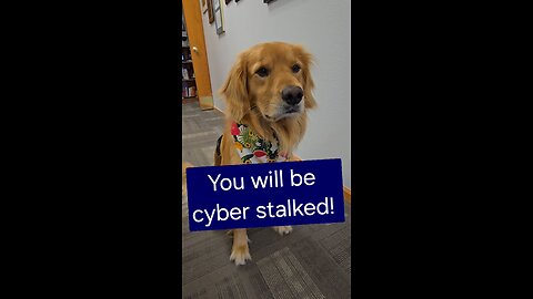 You will be cyber stalked!