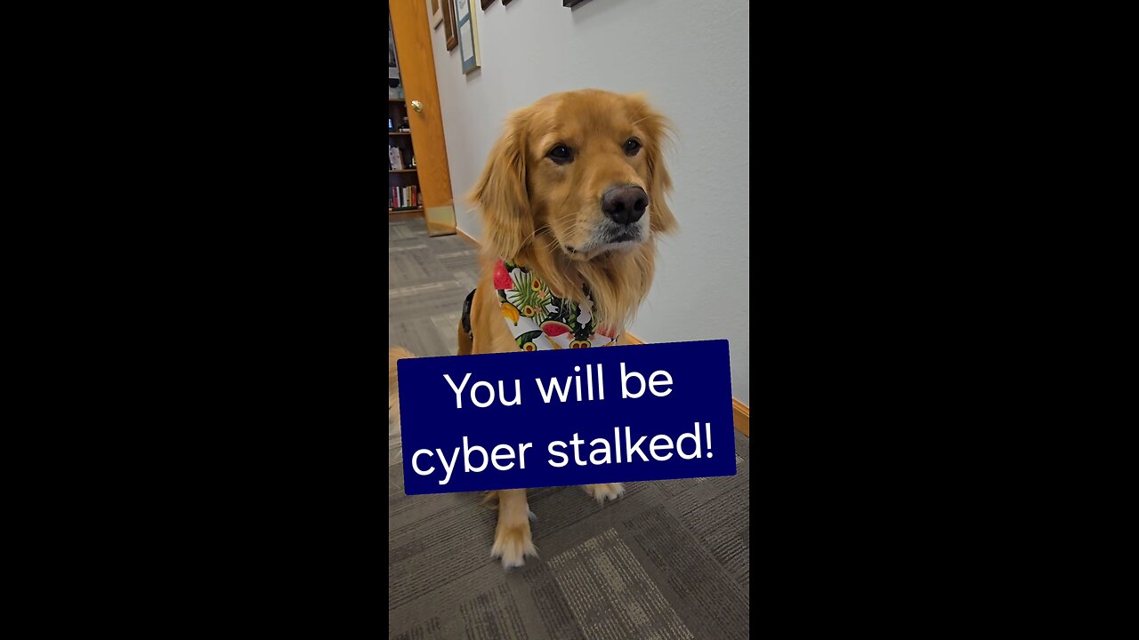 You will be cyber stalked!