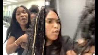 You Gonna Give Me Back My Horse Hair