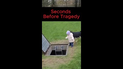 Brave 🐶 Dogs Saving Children Compilation | Heart Touching Moments | E7DIGITAL TV