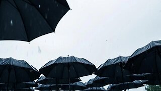 OWNING THE WEATHER