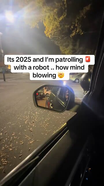 Indians remotely control robotic dogs in the US that patrol evening streets