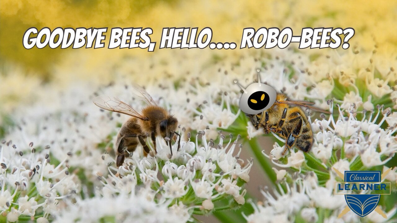 Goodbye Bees, Hello… Robo Bees?