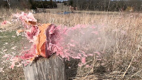 "HAM-ER TIME". Blowing up hams with various calibers.