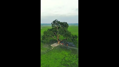 our village