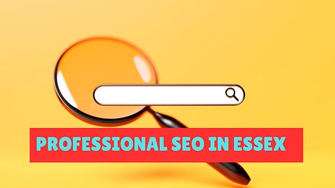 How to Find a Professional SEO in Essex