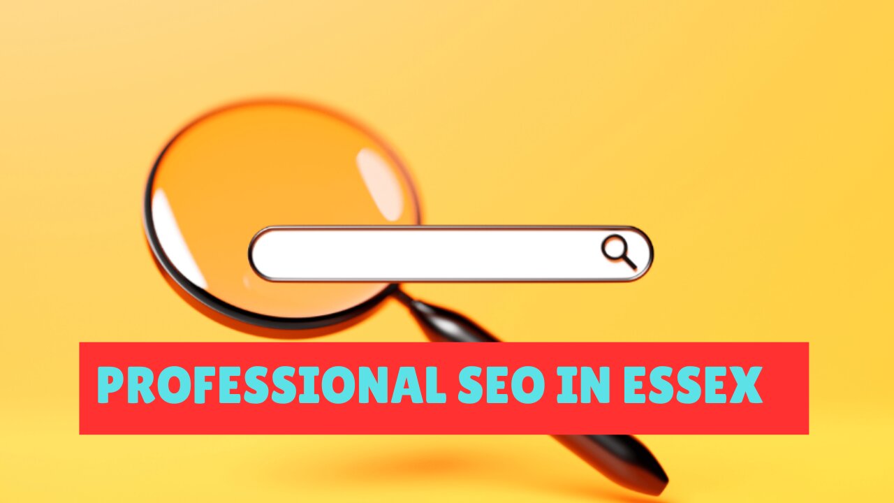 How to Find a Professional SEO in Essex