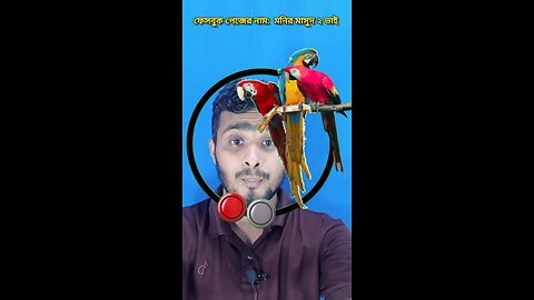 ১টি পাখি সরিয়ে দেখান ৯৭ 🧩✅ #reels #viralreelsシ #puzzle #tending #foryou