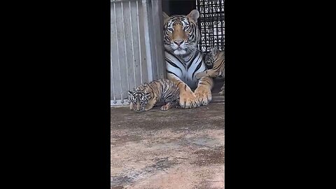 With a mom like that, nothing is scary!