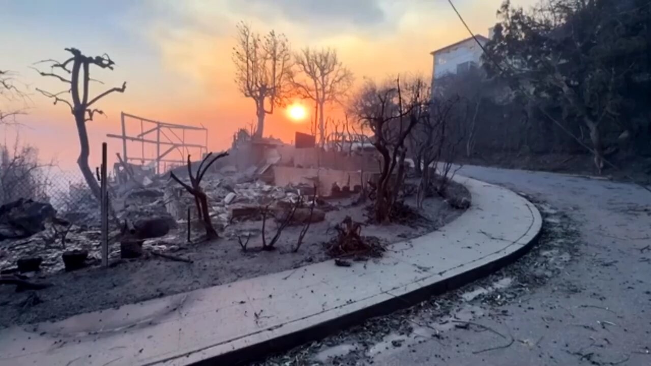 How AI models may forecast the world's next wildfire