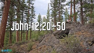 John 12:20-50, Bible Reading in Nature, BSB