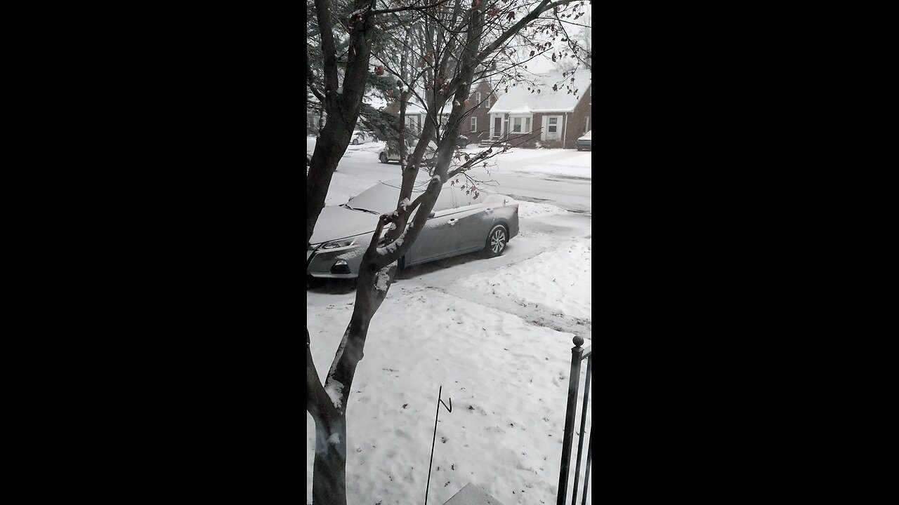 Snow, Dearborn, Michigan, 12/7/25 About 7:40 A.M.