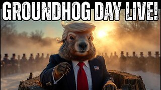 Groundhog Day Live Stream | Punxsutawney Phil