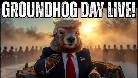 Groundhog Day Live Stream | Punxsutawney Phil